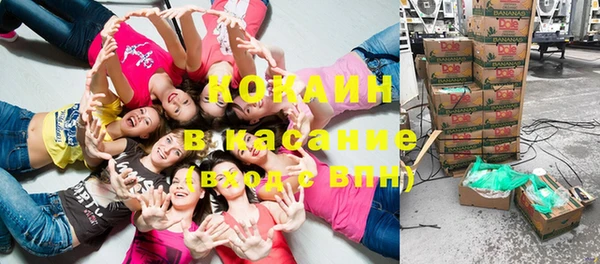 гашик Новокубанск