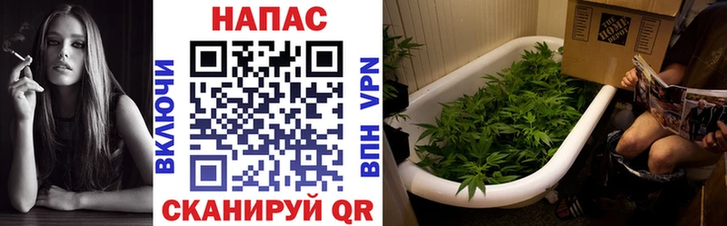 Бошки Шишки MAZAR  mega ONION  мориарти какой сайт  Андреаполь 